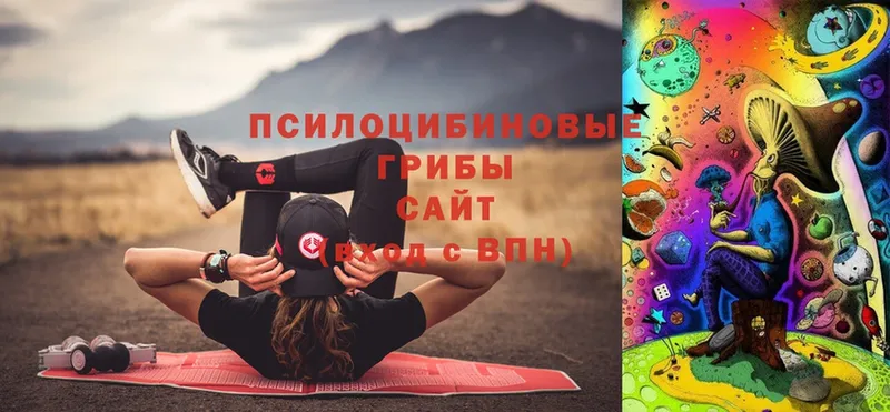 Псилоцибиновые грибы Psilocybe  хочу наркоту  Верхотурье 